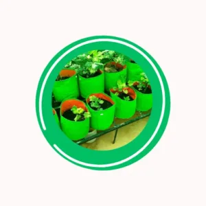 Growbag