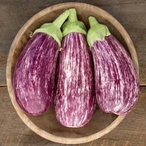 Purple Line Brinjal